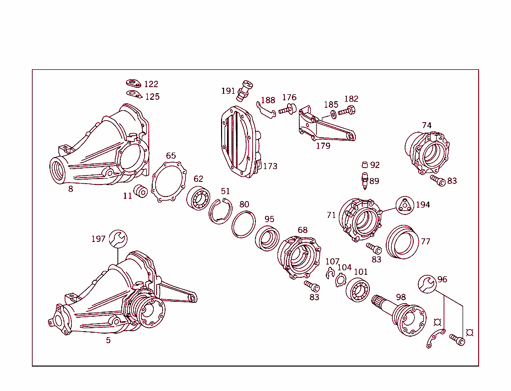 Rear Axle Housing With Differential