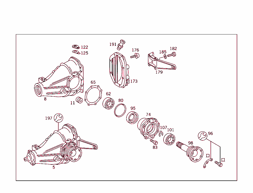 Rear Axle Housing With Differential