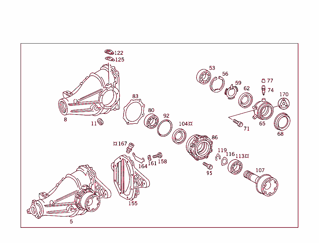 Rear Axle Housing With Differential