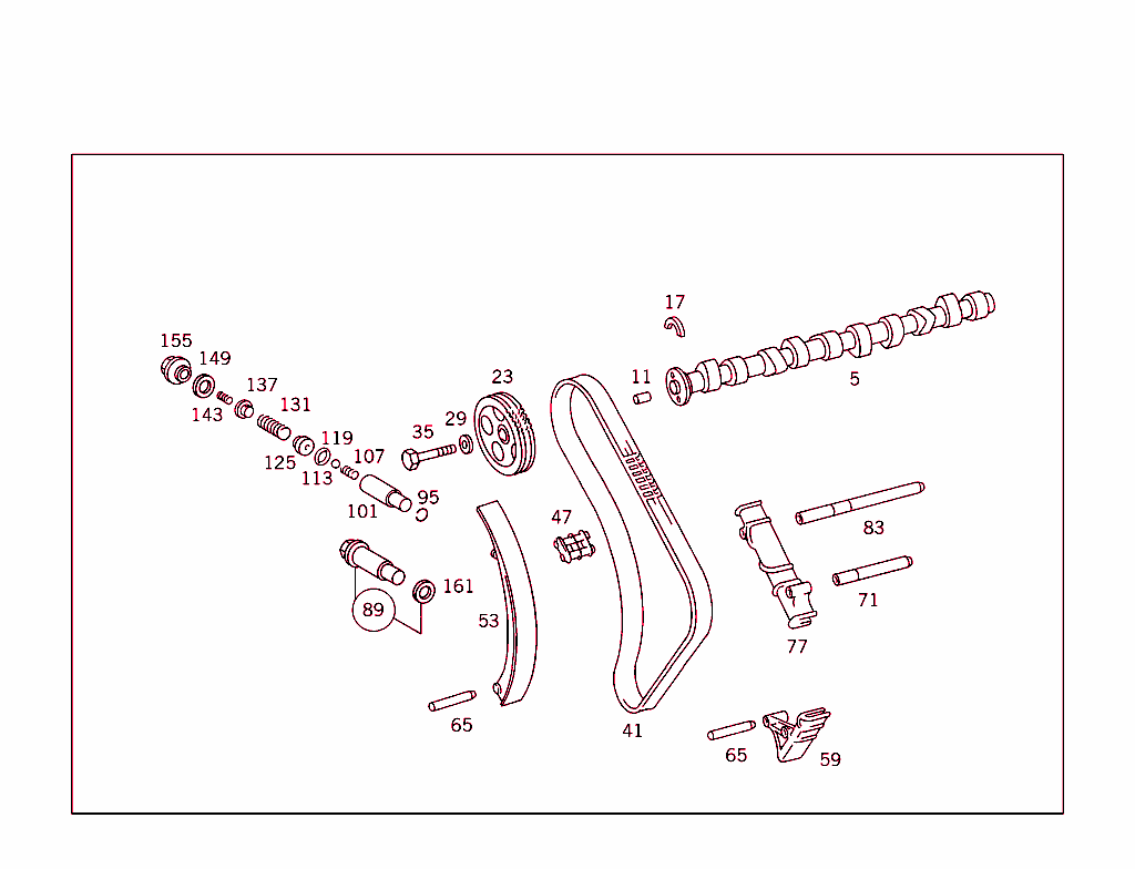 Camshaft And Chain Drive
