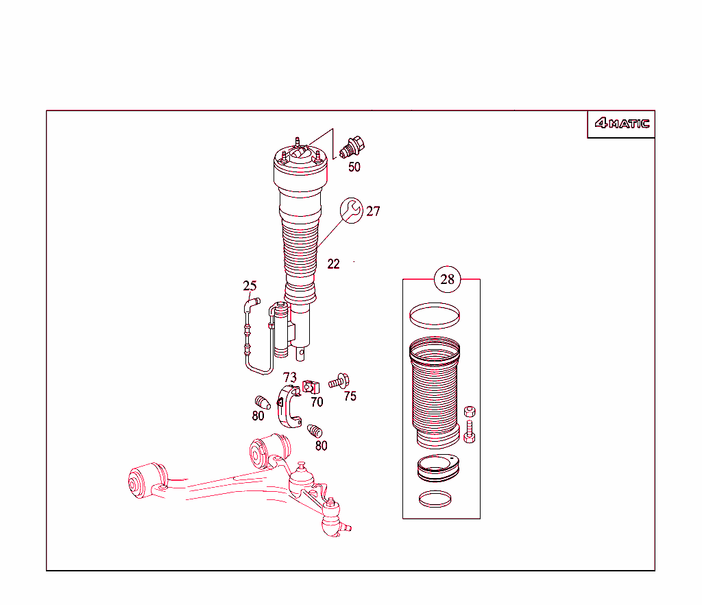 Spring Strut And Spring Strut Mounting Front