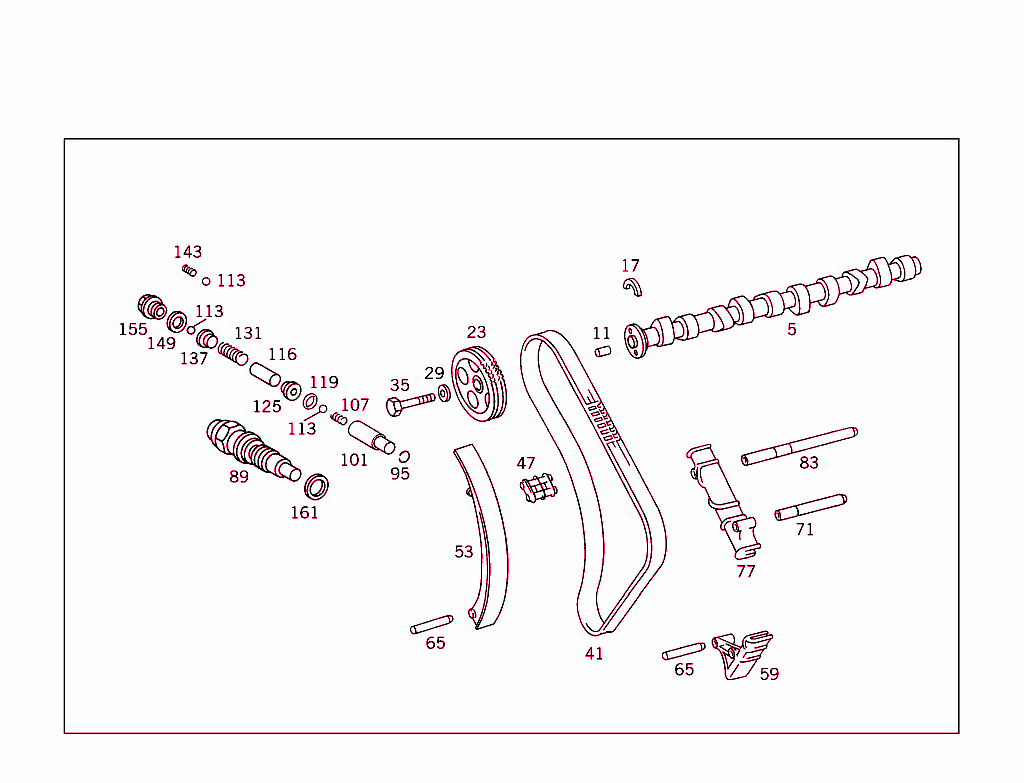 Camshaft And Chain Drive