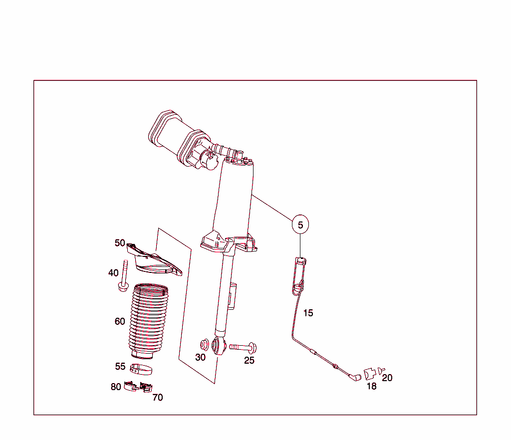 Spring Strut And Spring Strut Mounting Rear