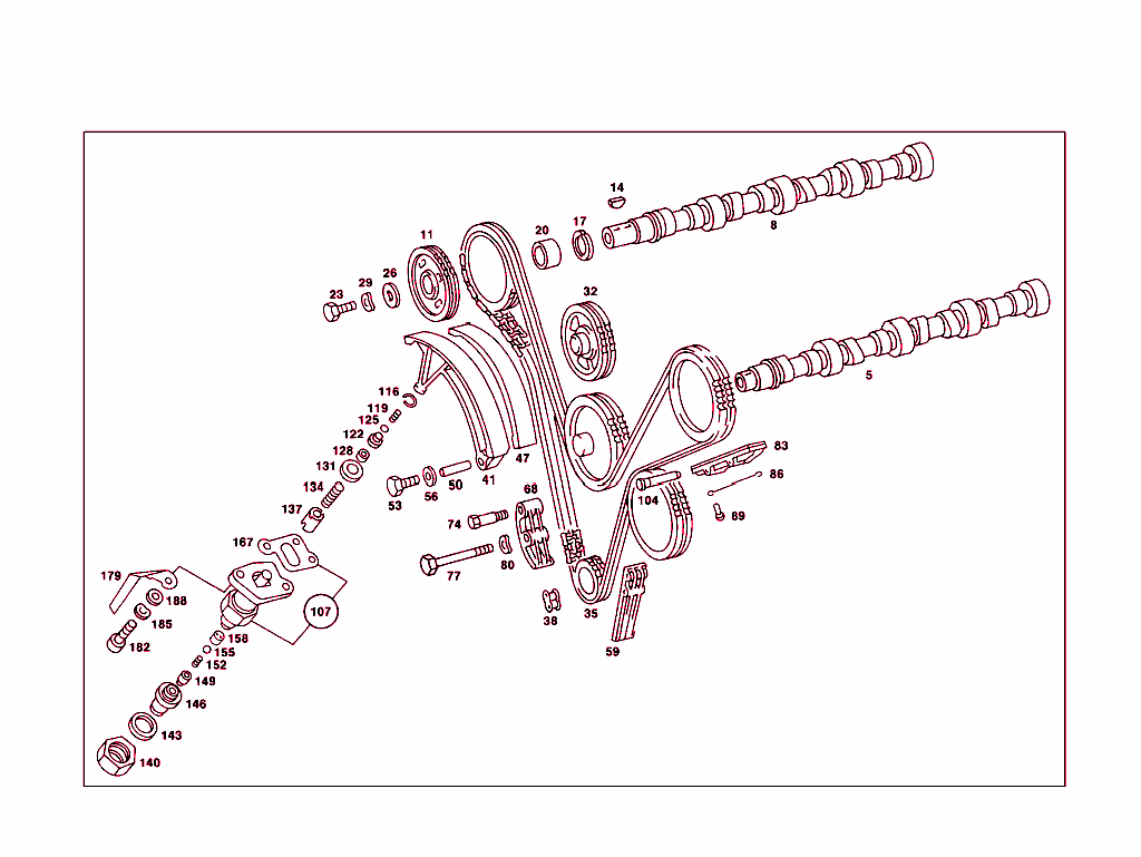 Camshaft And Chain Drive