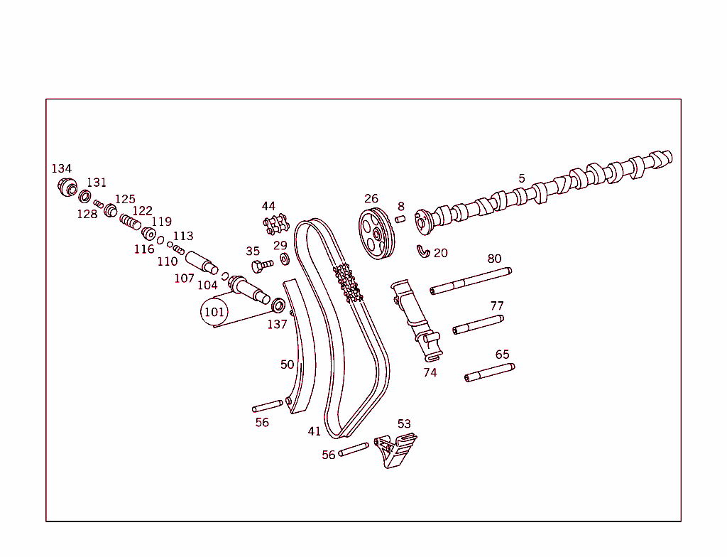 Camshaft And Chain Drive