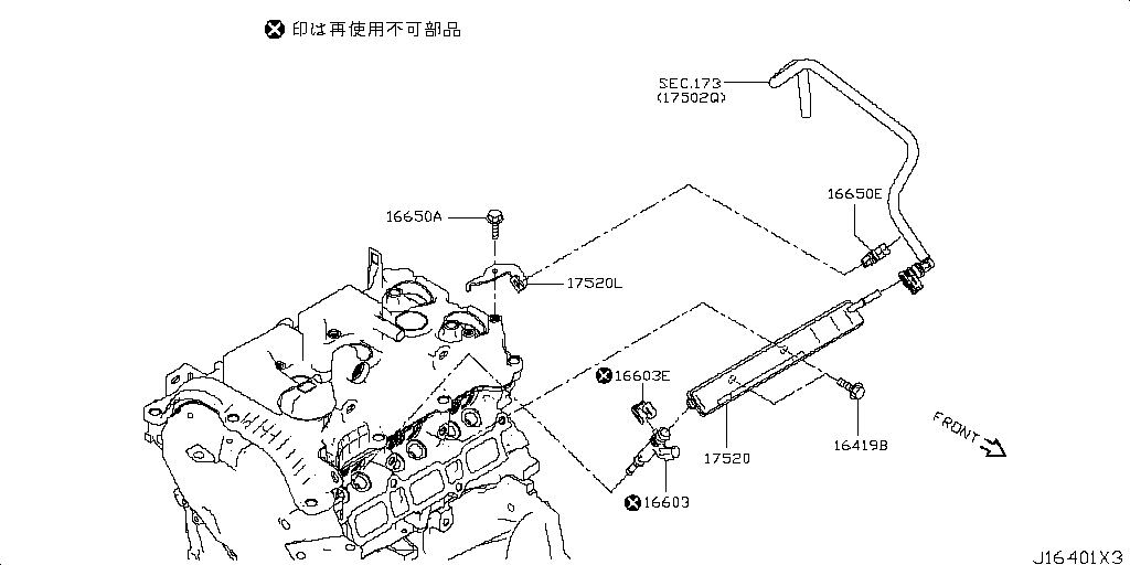 Fuel Injection & Strena