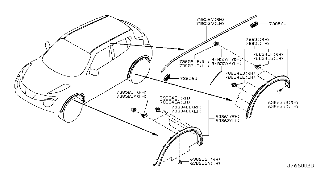 Body Side Moulding
