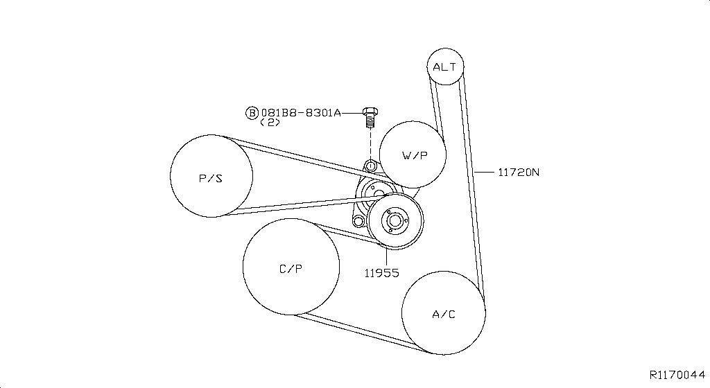 Fan Compressor Power Steering Belt