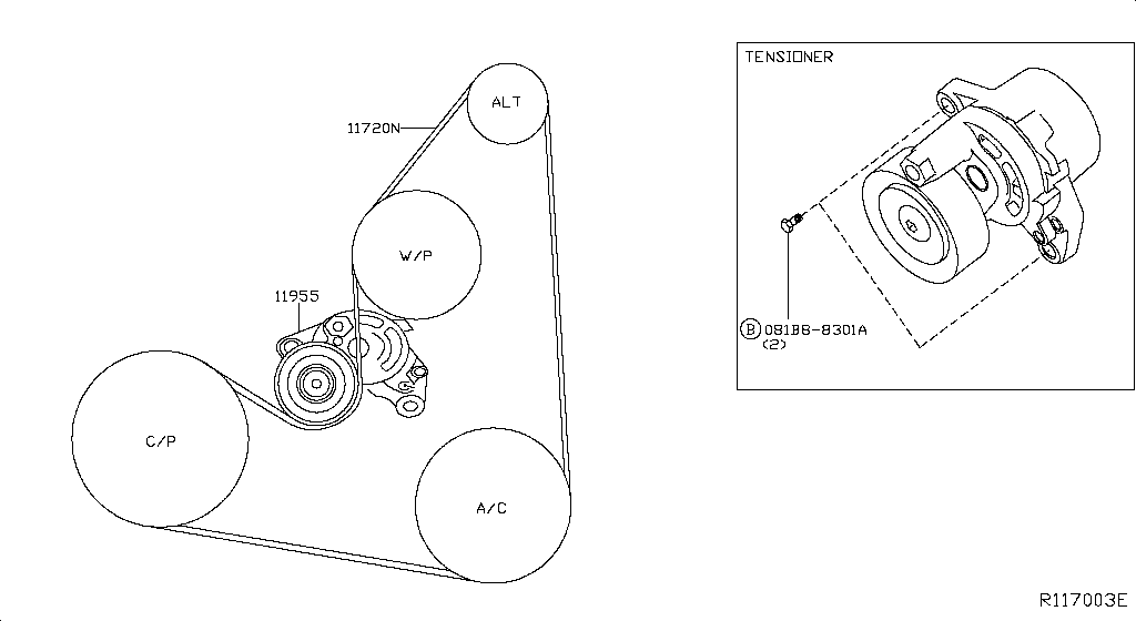Fan Compressor Power Steering Belt