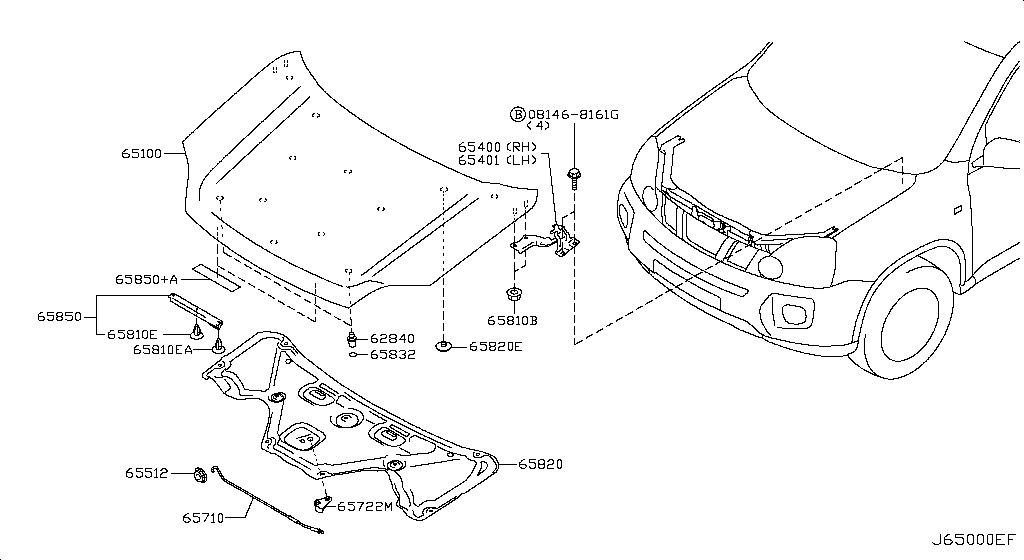 Hood Panel