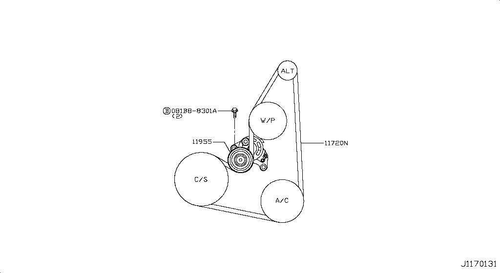 Fan Compressor Power Steering Belt