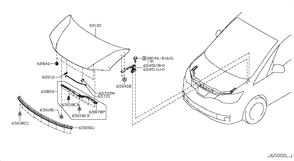 65810-1VA0A Rub-Seal Hood F Nissan | YoshiParts