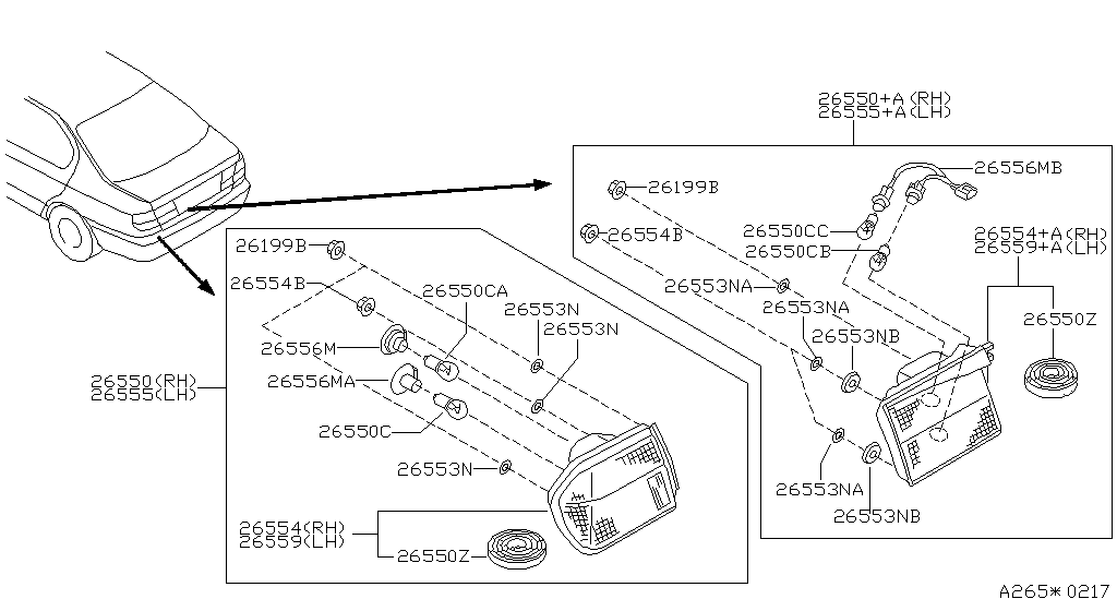 Rear Combination Lamp