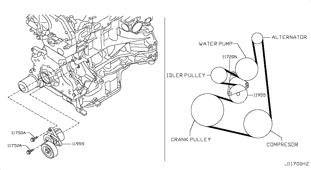 Fan Compressor Power Steering Belt