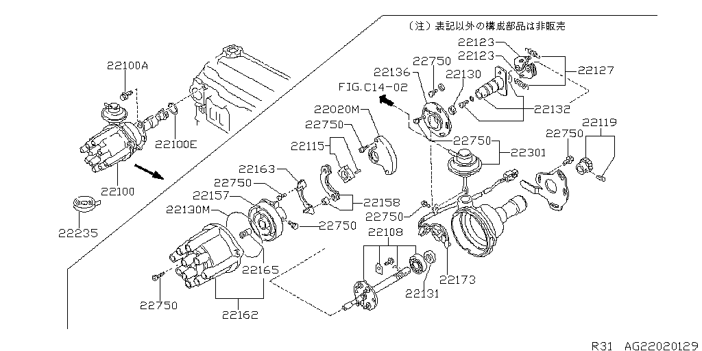 Drive Belt