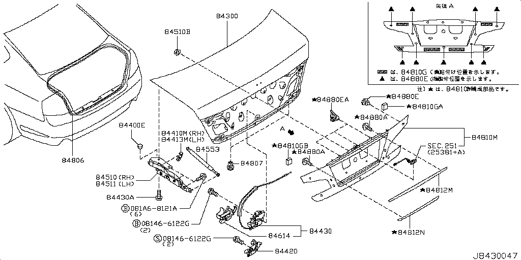 Rear & Fitting<Body>