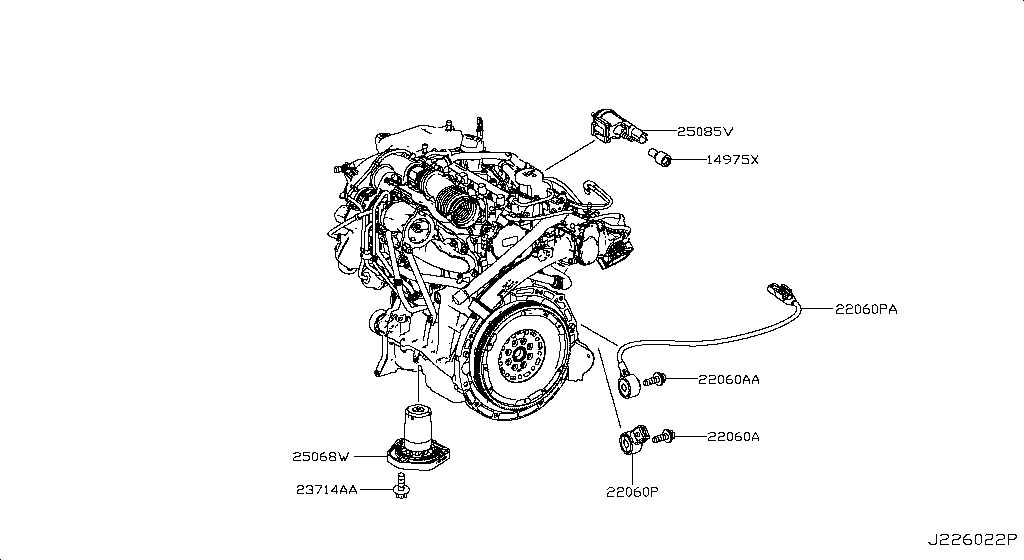 Engine Control Module