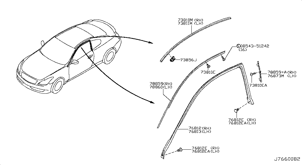 Body Side Moulding