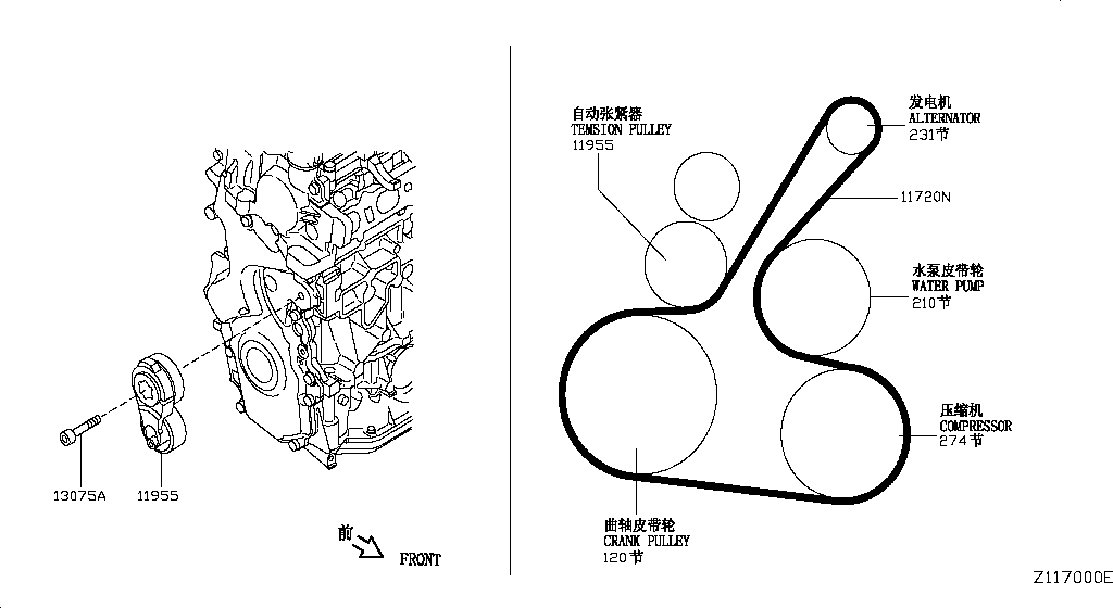 Fan Compressor Power Steering Belt
