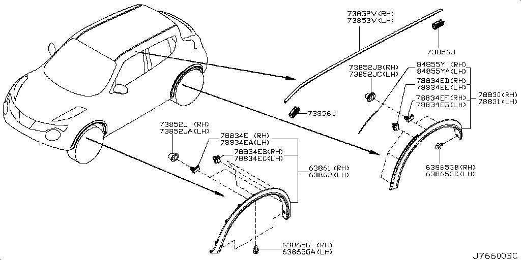 Body Side Molding