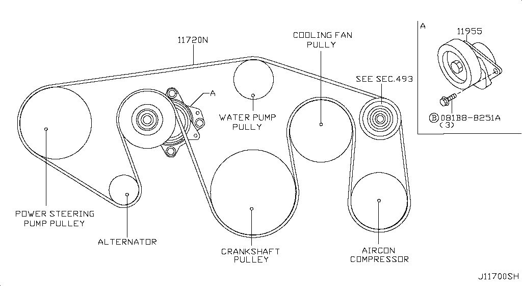 Fan Compressor Power Steering Belt