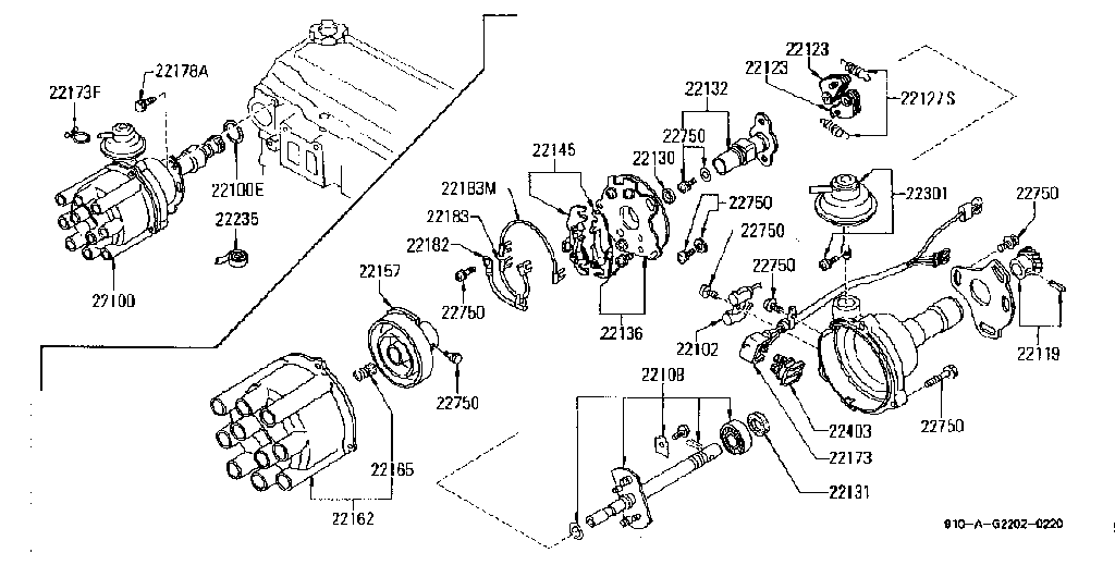 Drive Belt