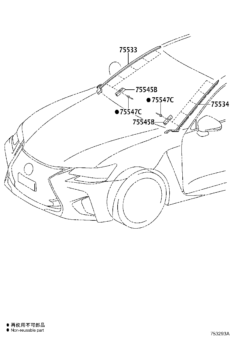 Front Moulding