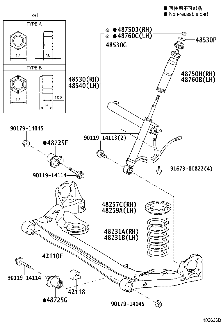 Rear Spring & Shock Absorber