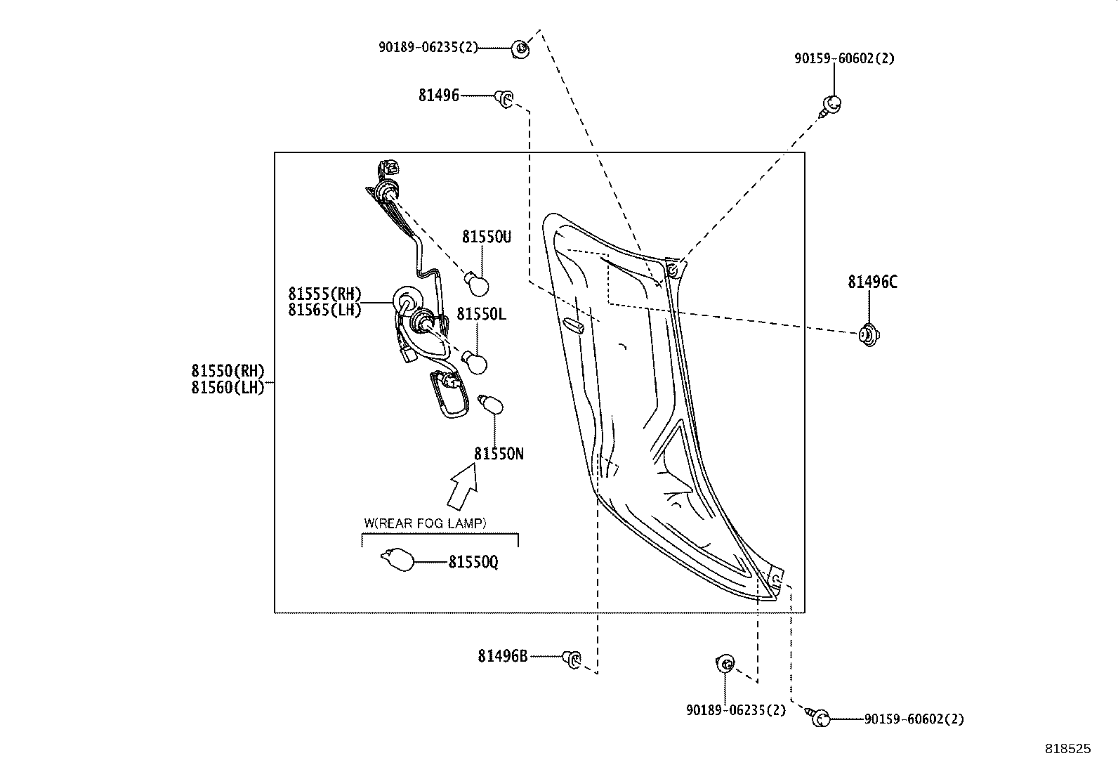 Rear Combination Lamp