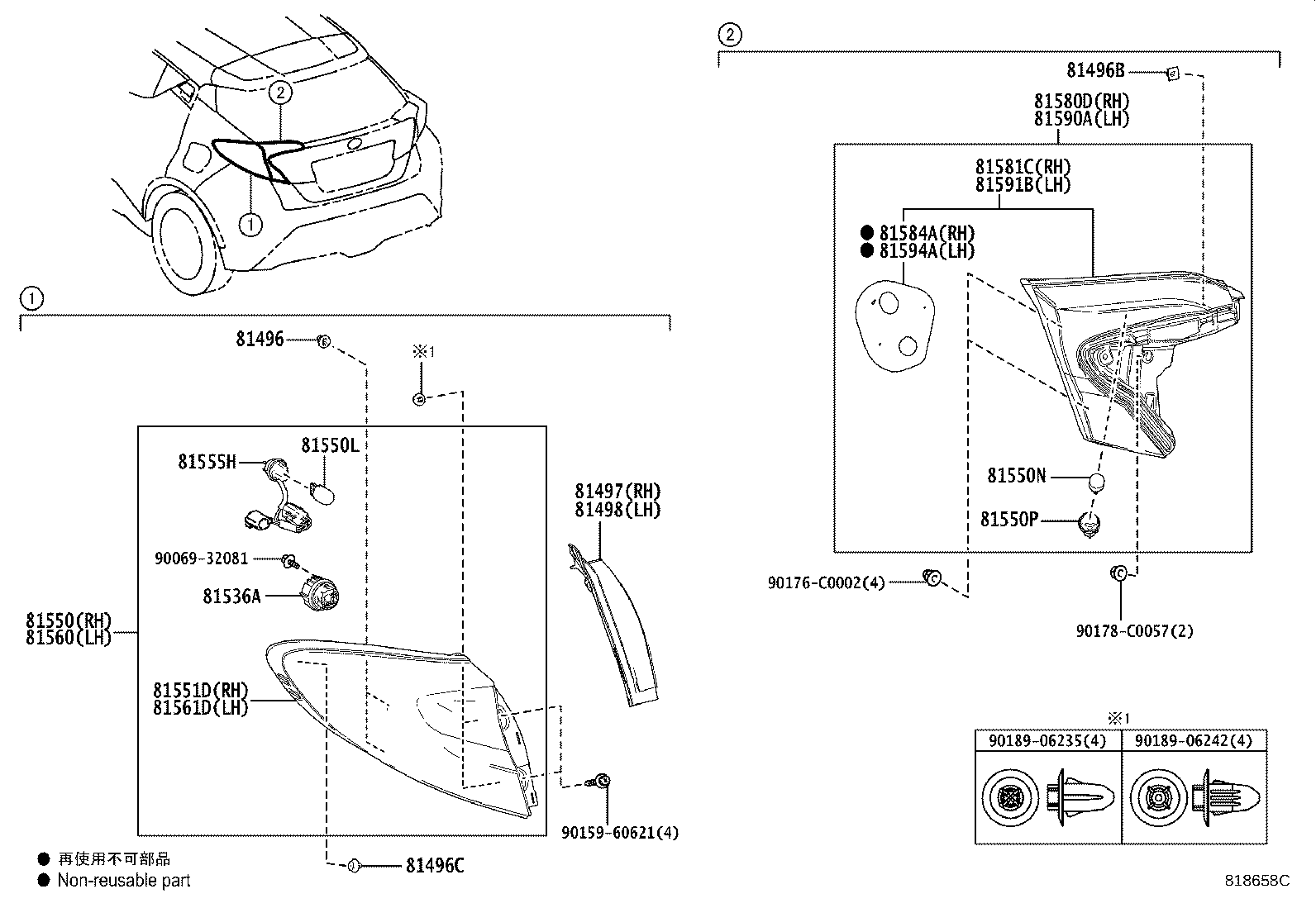 Rear Combination Lamp