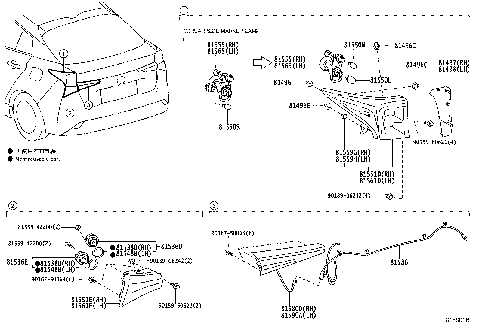 Rear Combination Lamp