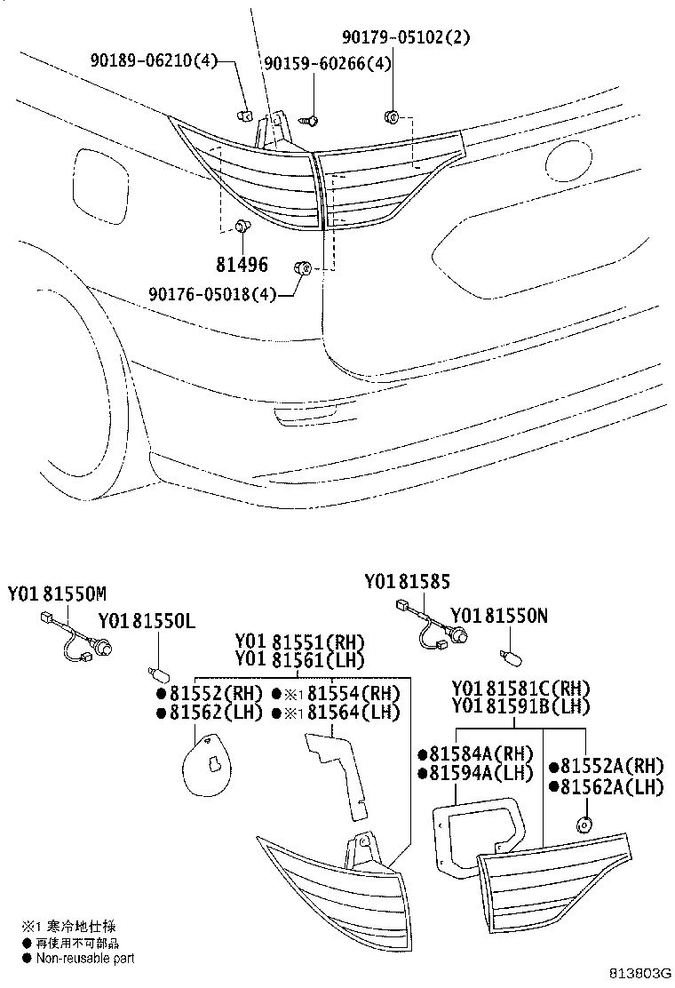 Rear Combination Lamp
