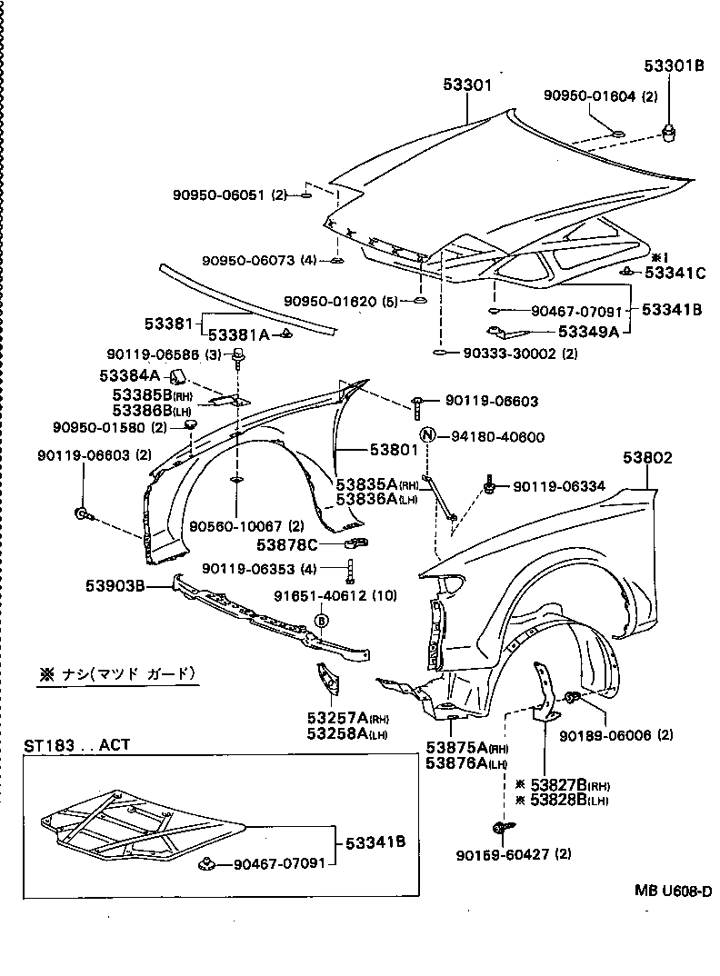 Hood & Front Fender