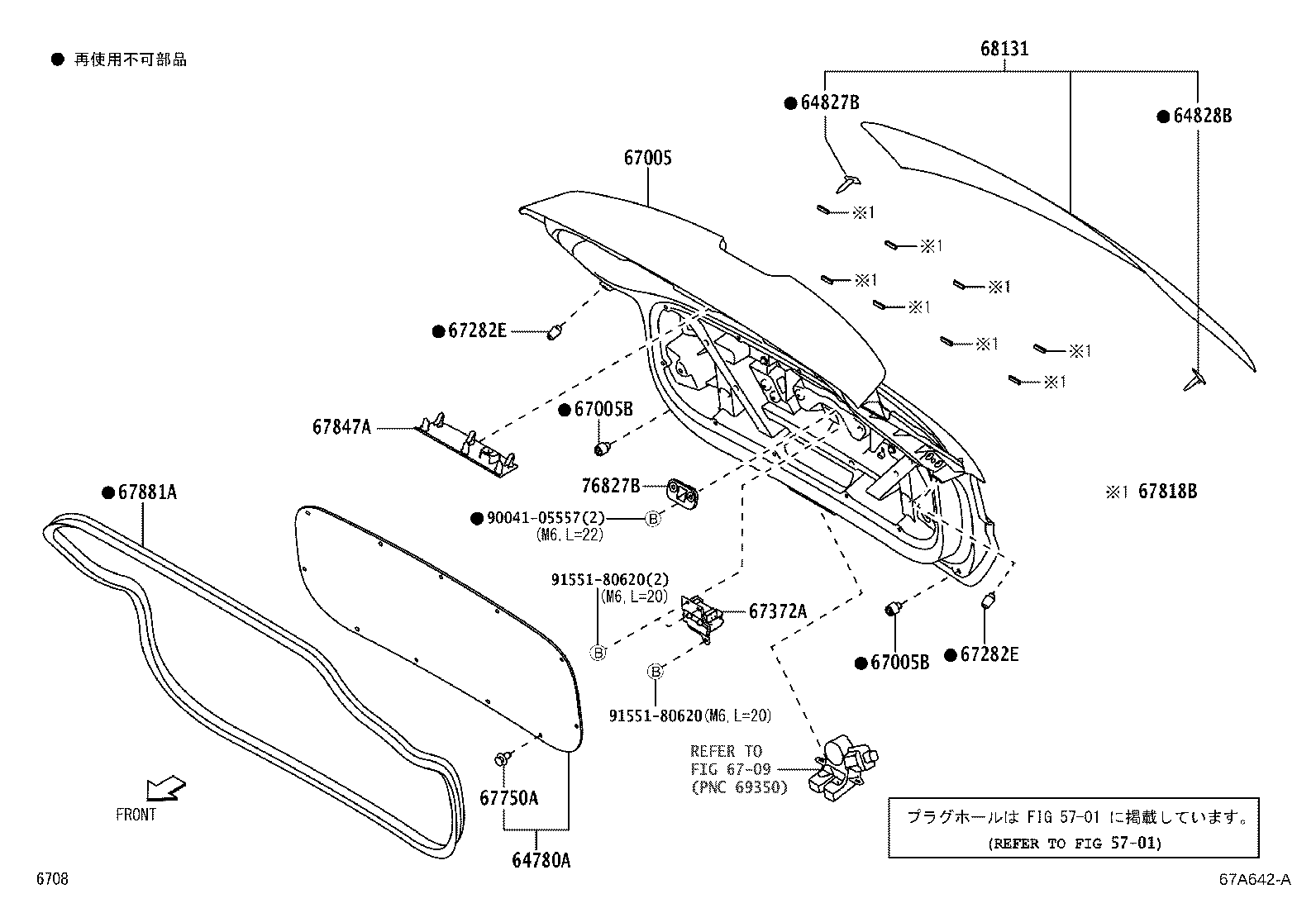 Back Door Panel Glass