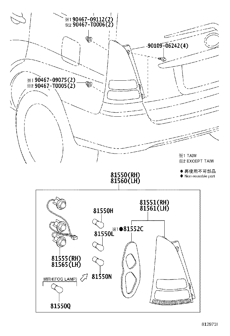 Rear Combination Lamp
