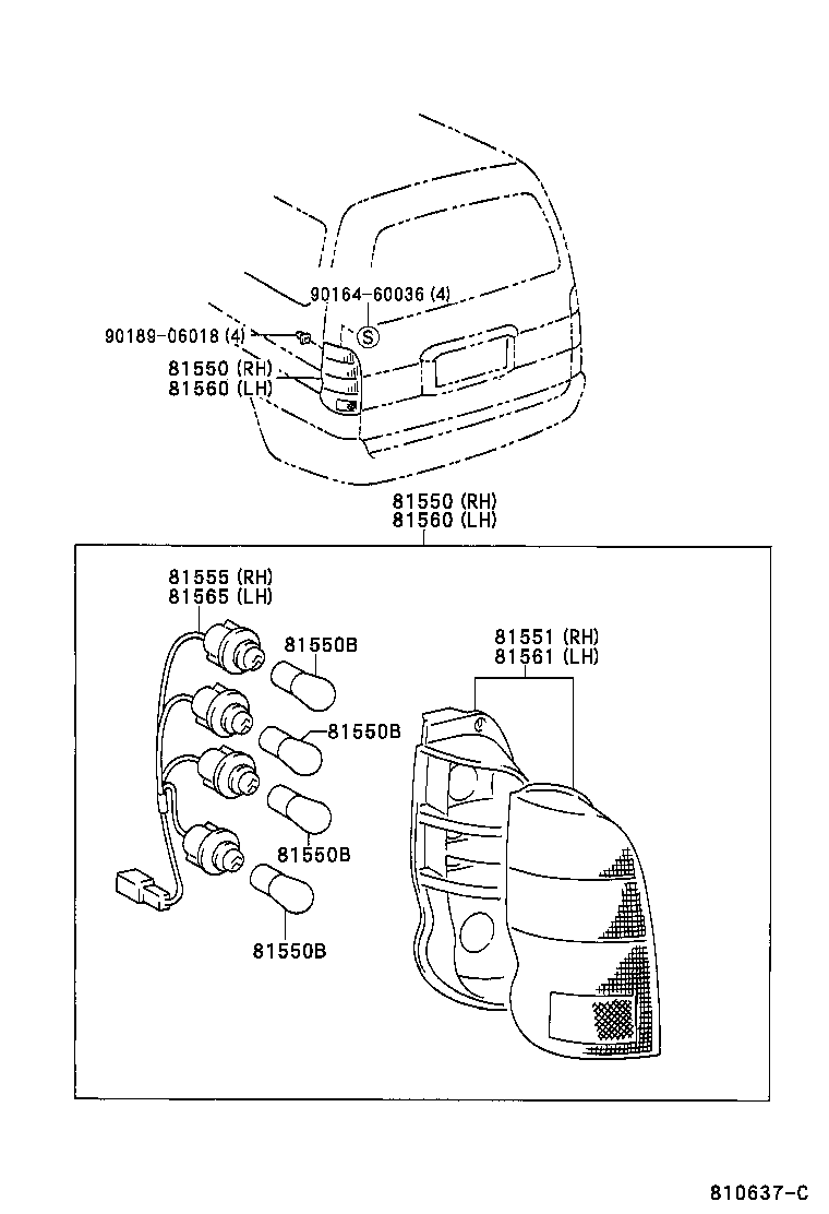 Rear Combination Lamp