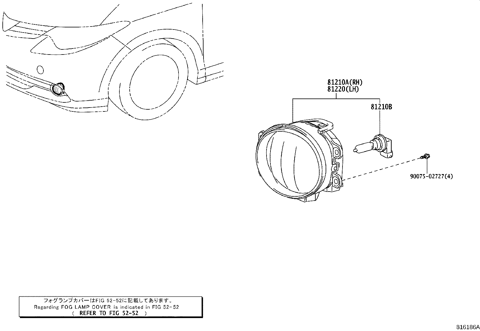 Fog Lamp