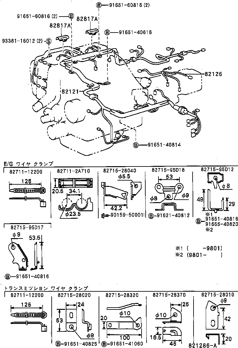 Wiring & Clamp