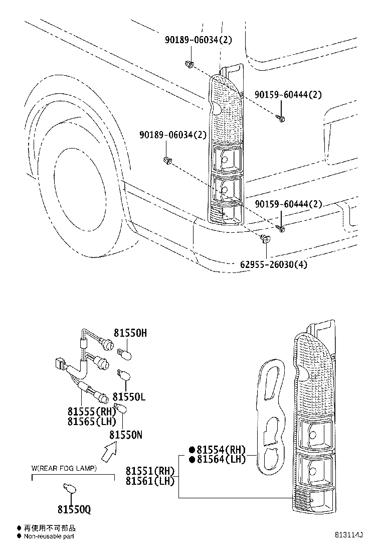 Rear Combination Lamp