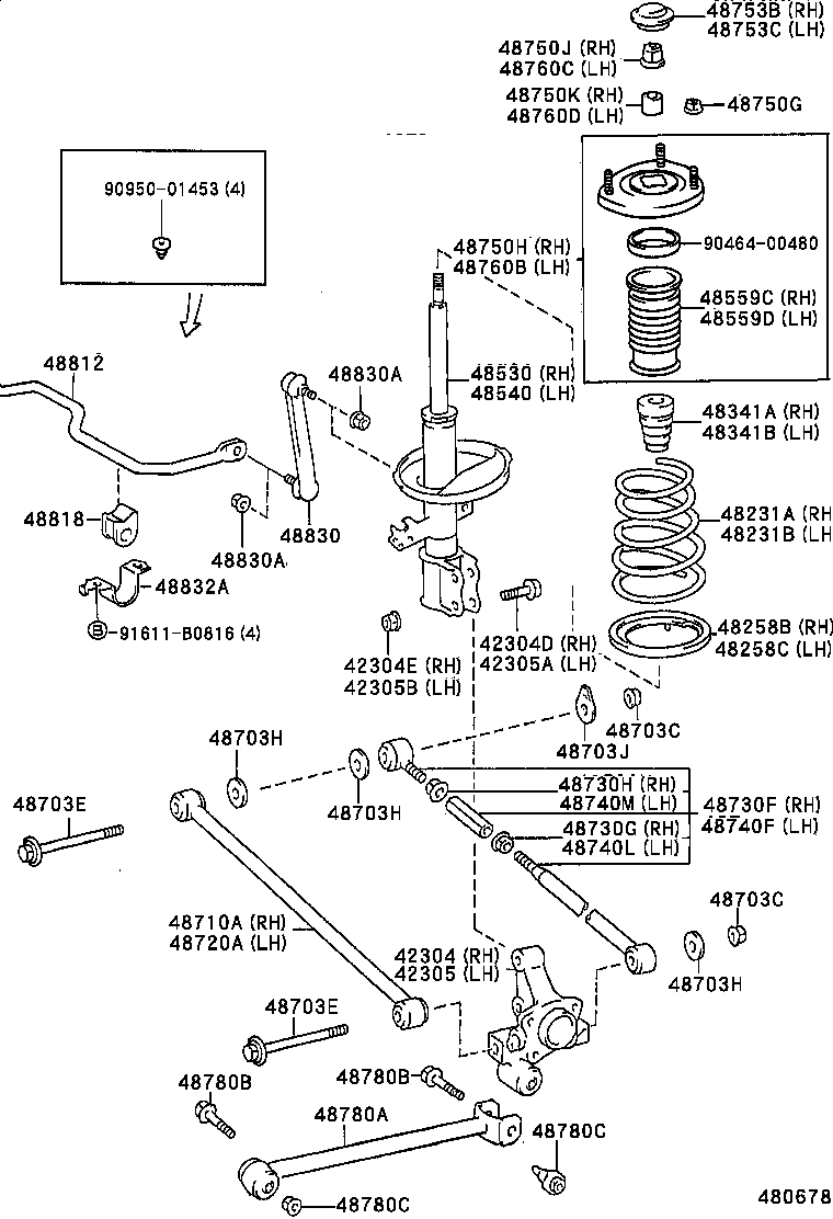 Rear Spring & Shock Absorber