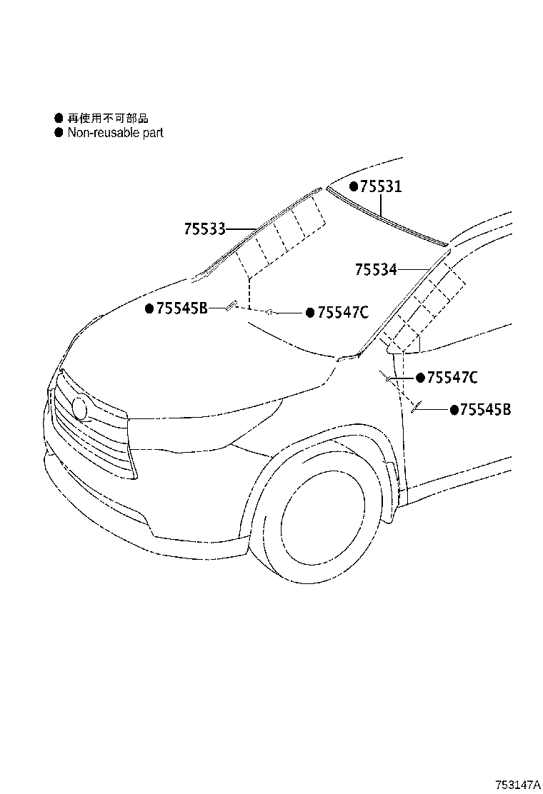 Front Moulding