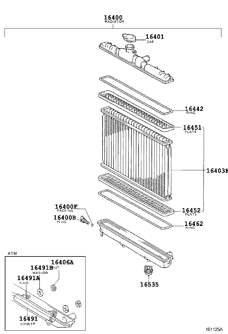 Radiator Water Outlet