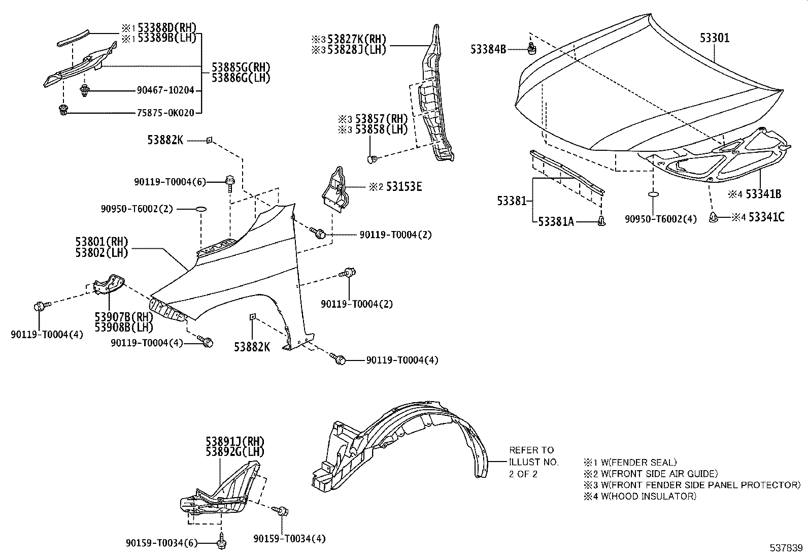Hood & Front Fender