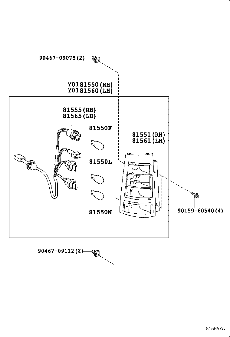 Rear Combination Lamp