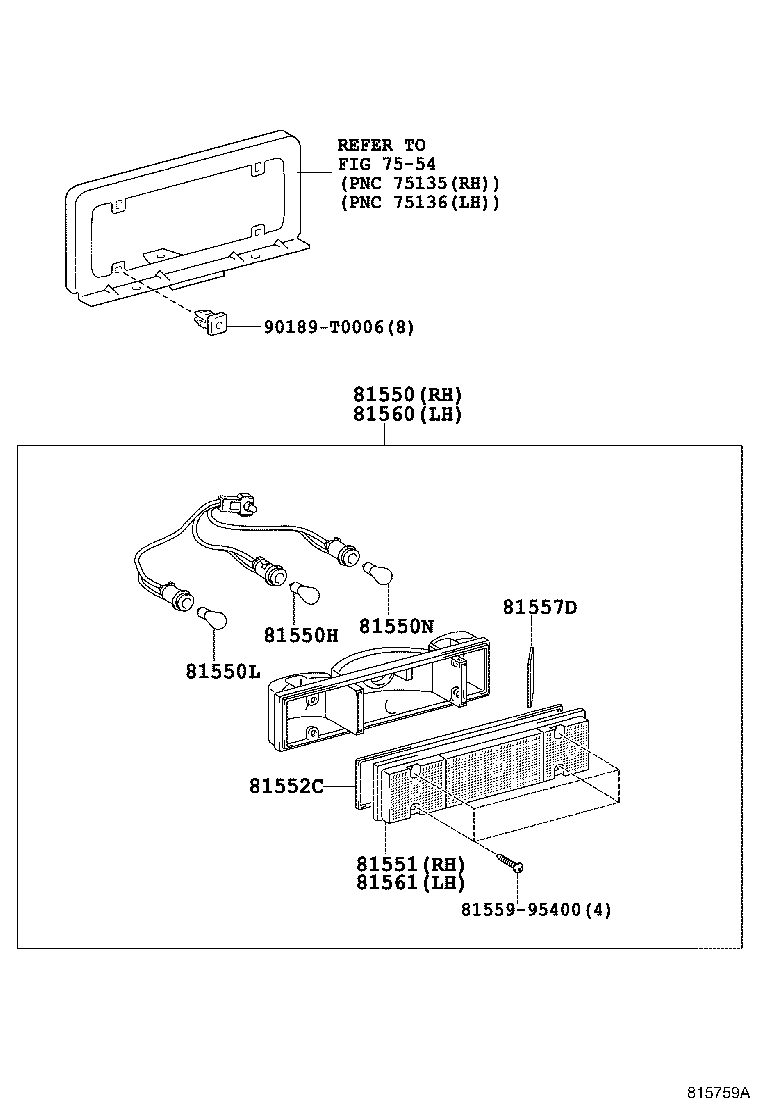 Rear Combination Lamp