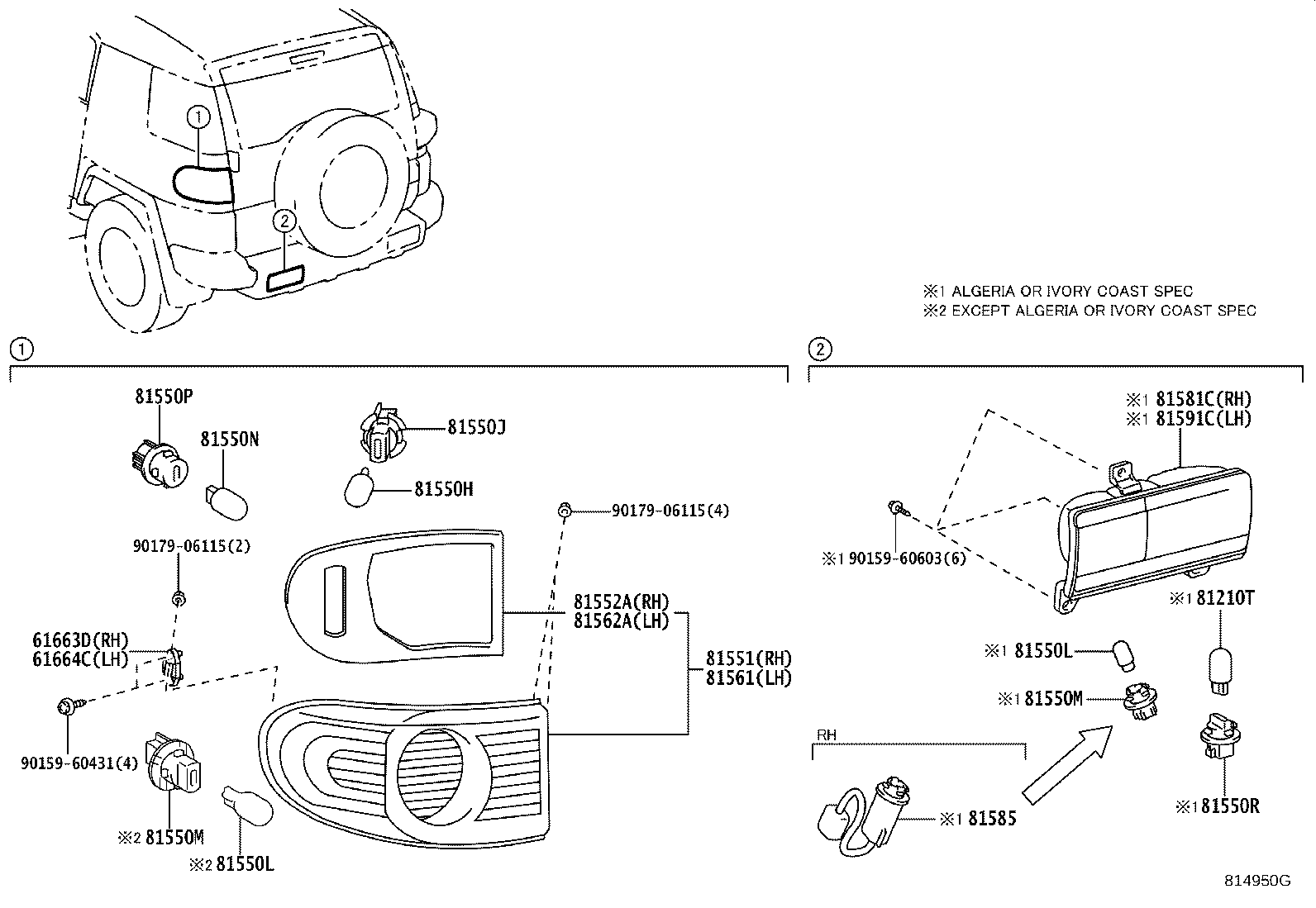 Rear Combination Lamp