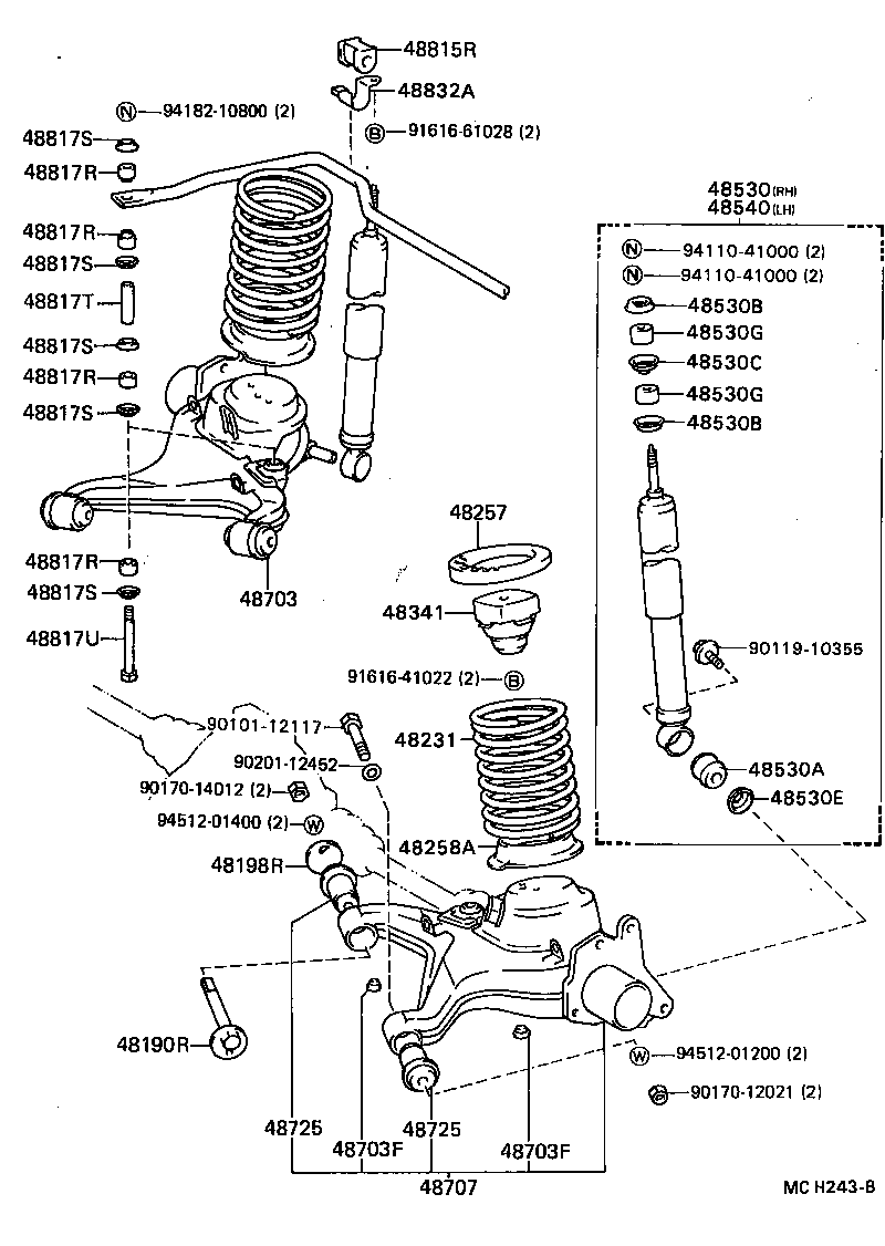 Rear Spring & Shock Absorber