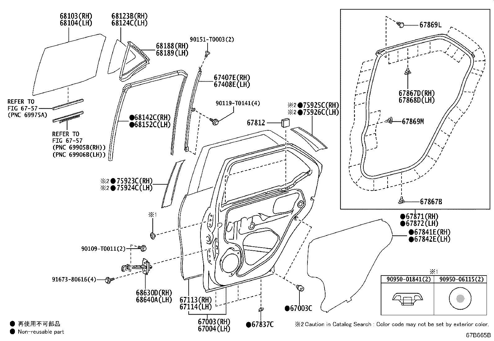 Rear Door Panel & Glass