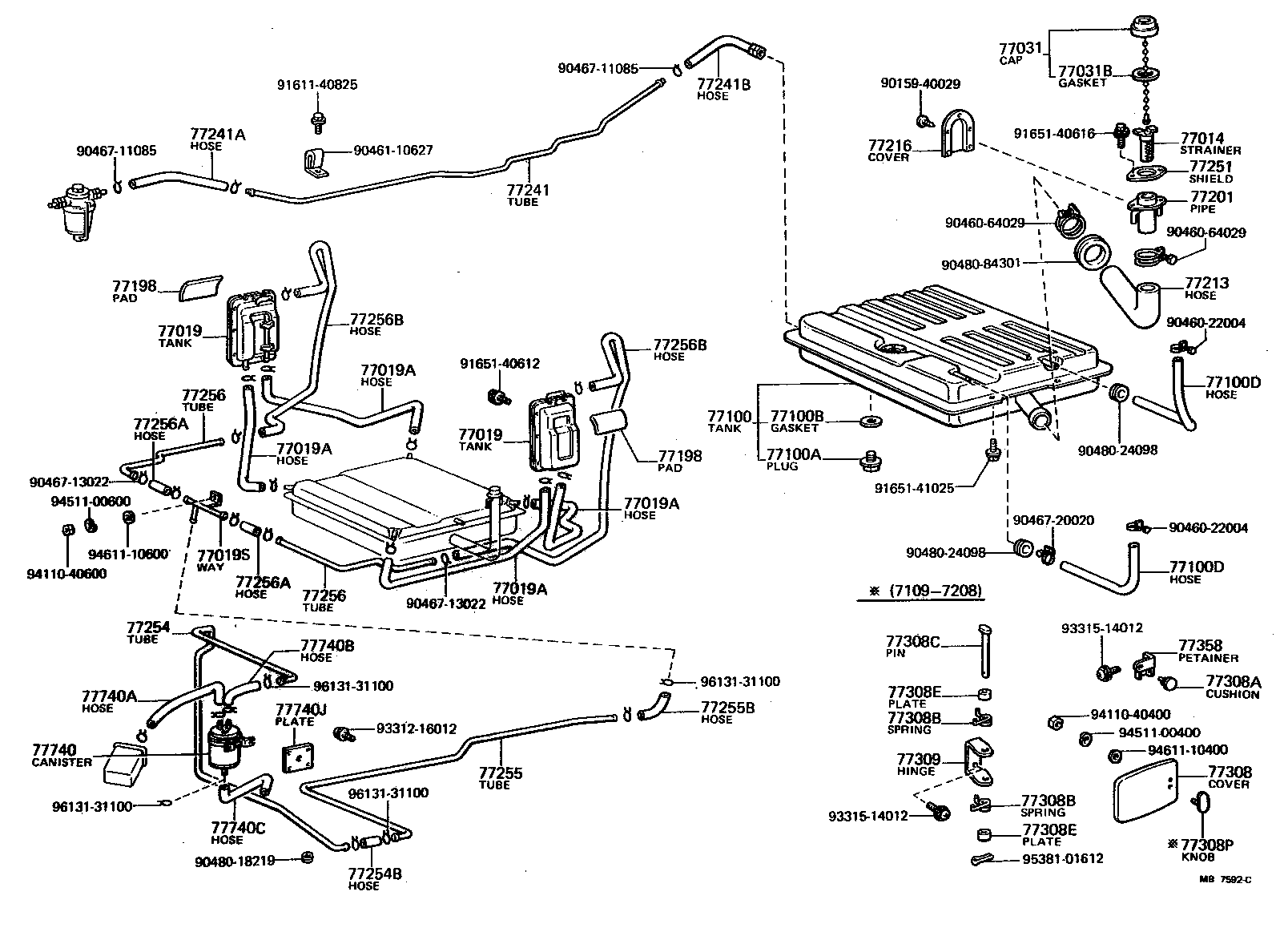 Fuel Tank & Tube