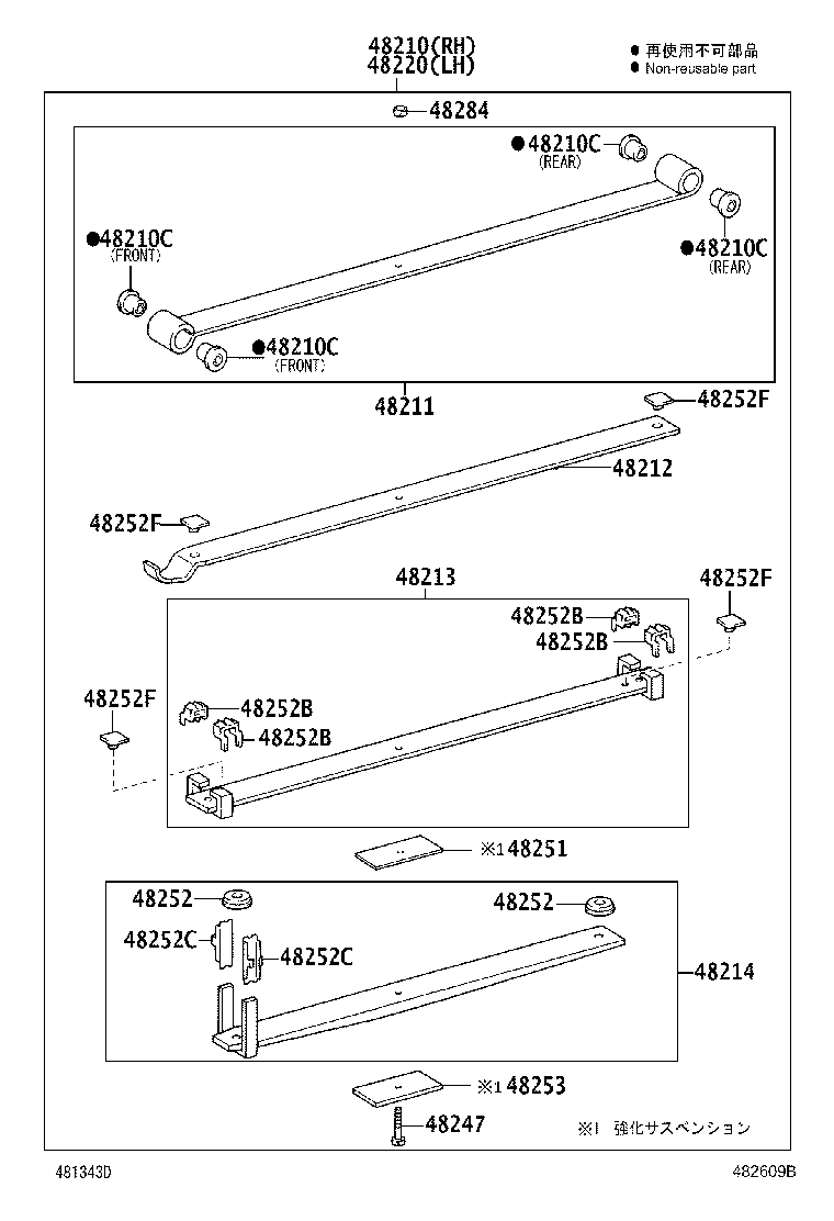Rear Spring & Shock Absorber